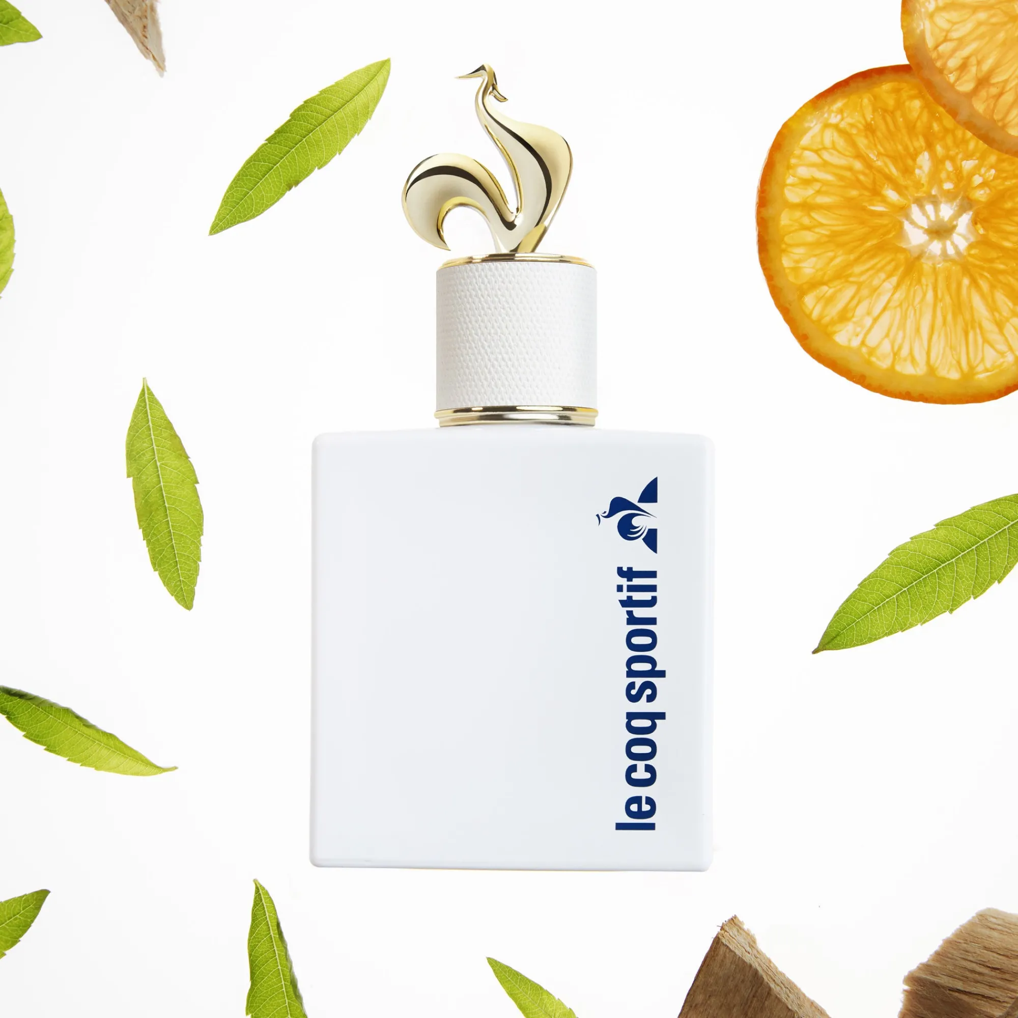Discount Parfum Blanc Relax 100ml Femme Parfums | Parfums